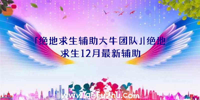 「绝地求生辅助大牛团队」|绝地求生12月最新辅助